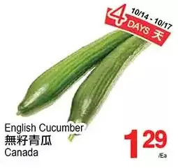 T&T Supermarket English cucumber offer