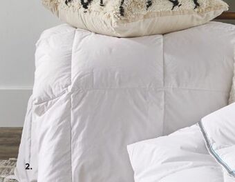 Sleep Country Premium white down duvet offer