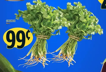 Marché Adonis Coriander offer