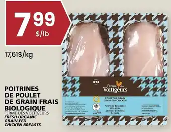 Rachelle-Bery Grocery Fresh Organic Grain-Fed Chicken Breast offer