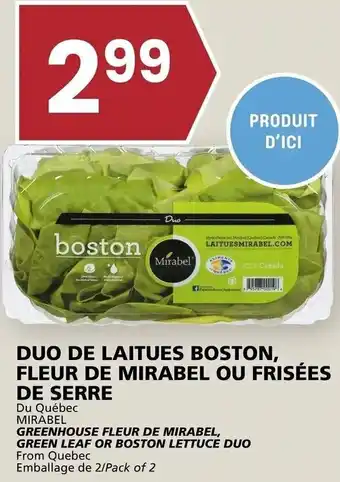 Rachelle-Bery Grocery Greenhouse Fleur De Mirabel, Green Leaf offer