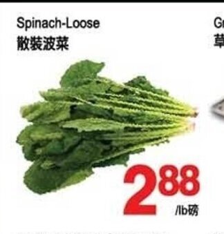 T&T Supermarket Spinach Loose offer