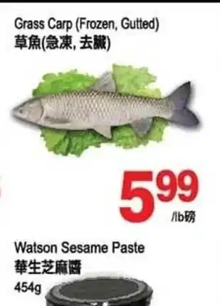 T&T Supermarket Grass Carp (Frozen, Glutted) offer