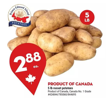 Giant Tiger Russet potatoes offer