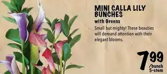Farm Boy Mini calla lily bunches offer
