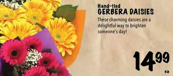 Farm Boy Hand-tied gerbera daisies offer