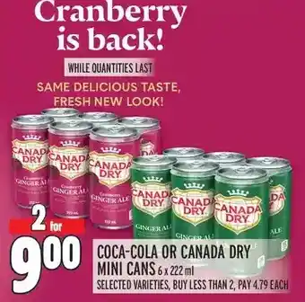 Metro Coca-cola or canada dry mini cans offer