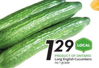 Sobeys Long english cucumbers offer