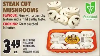 Metro Belle grove steak cut mushrooms offer