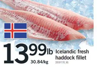 Fortinos Icelandic fresh haddock fillet offer