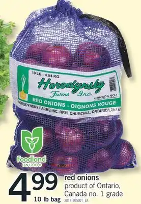 Fortinos Red onions, 10 lb bag offer