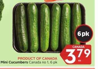 Foodland Mini cucumbers canada no 1, 6 pk offer