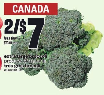 Independent Grocer Extra large broccoli offer