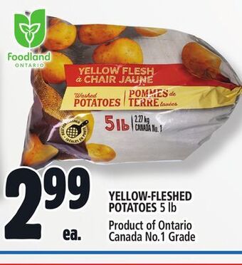 Metro Yellow-fleshed potatoes offer