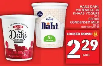 Food Basics Hans dahi, phoenicia or khaas yogurt or cedar condensed milk offer