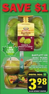 Food Basics Bartlett or bosc pears offer