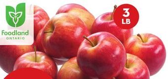 Giant Tiger 3 lb royal gala apples offer