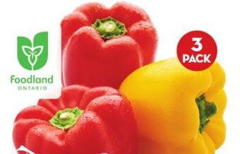 Giant Tiger 3 pack rainbow peppers offer