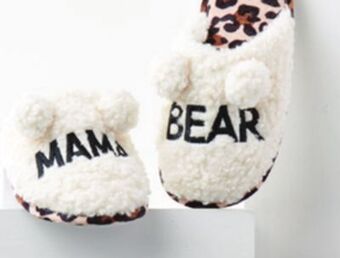 Giant Tiger Women's slippers offer