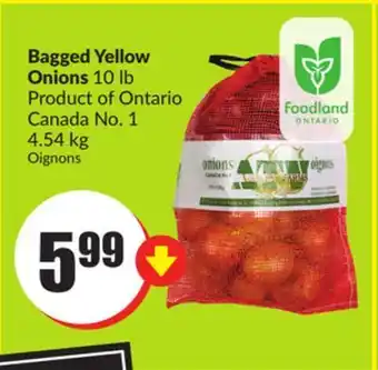 FreshCo Bagged yellow onions 10 lb product of ontario canada no. 1 4.54 kg offer