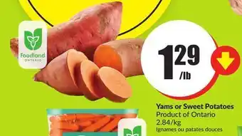 Chalo FreshCo Yams or sweet potatoes product of ontario 2.84/kg offer