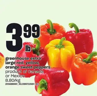Zehrs Markets Greenhouse extra large red, yellow, orange sweet peppers offer
