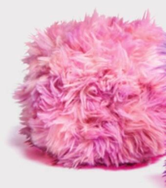 Walmart What the fluff? interactive pet offer