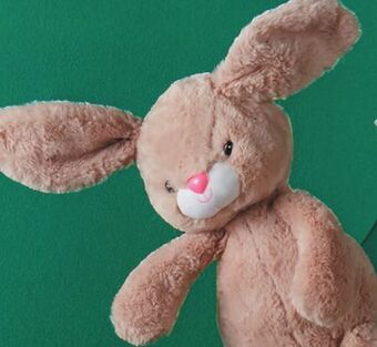 Walmart Kid connection plush animals offer