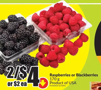 FreshCo Raspberries or blackberries offer