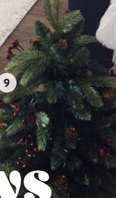 Home Hardware Pine collection potted porch tree 24" offer