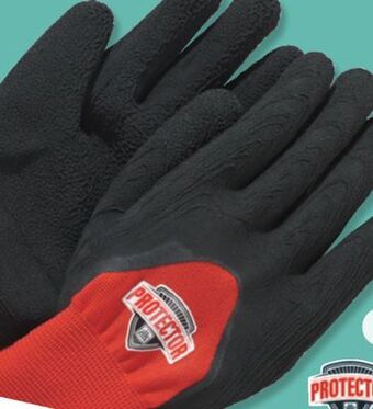 Home Hardware Poly latex gloves offer