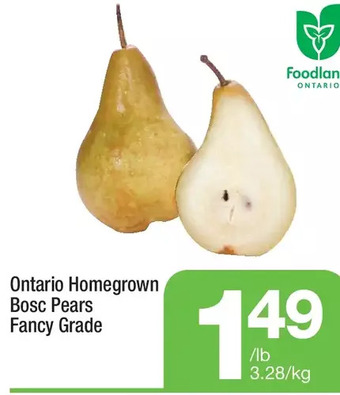 Highland Farms Ontario homegrown bosc pears fancy grade offer