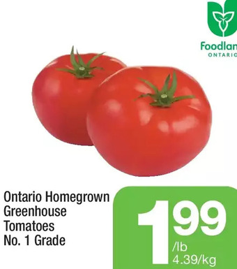 Highland Farms Ontario homegrown greenhouse tomatoes offer