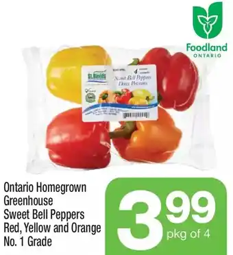 Highland Farms Ontario homegrown greenhouse sweet bell peppers red, yellow and orange offer