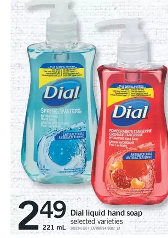Fortinos Dial liquid hand soap offer