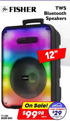 Factory Direct Fisher tws bluetooth speakers12" offer