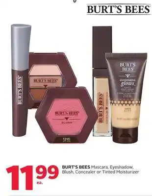 Rexall Burt's bees mascara, eyeshadow, blush, concealer or tinted moisturizer offer