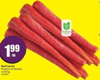 FreshCo Red Carrots offer