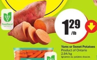 FreshCo Yams or Sweet Potatoes offer