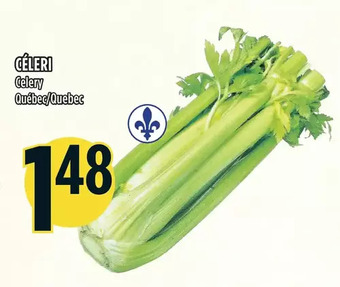 Marché Adonis Celery offer