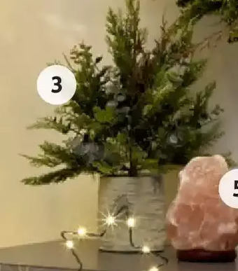Home Hardware Holiday eucalyptus collection potted porch tree offer
