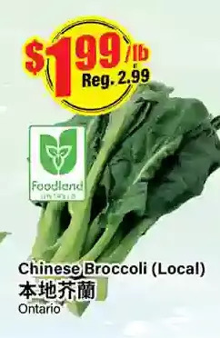 Btrust Supermarket Chinese broccoli offer