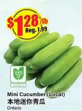 Btrust Supermarket Mini cucumbers offer