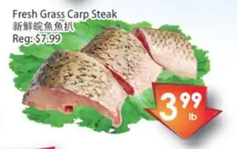 Fresh Palace Supermarket Fresh grass carp steak offer