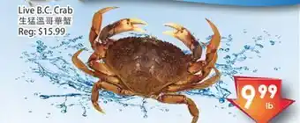Fresh Palace Supermarket Live в.с. crab offer