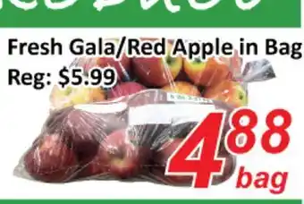 Seasons Foodmart Fresh gala/red apple in bag offer