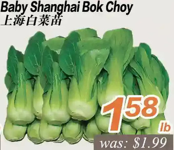 Seasons Foodmart Baby shanghai bok choy offer
