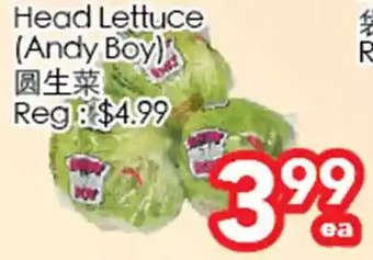 Superking Supermarket Andy boy head lettuce offer