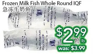 Ample Food Market Frozen milk fish whole round iqf offer