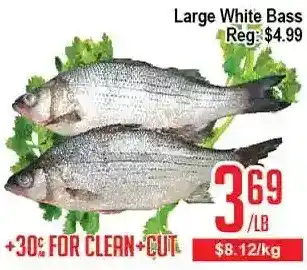 Skyland Foodmart Large white bass offer